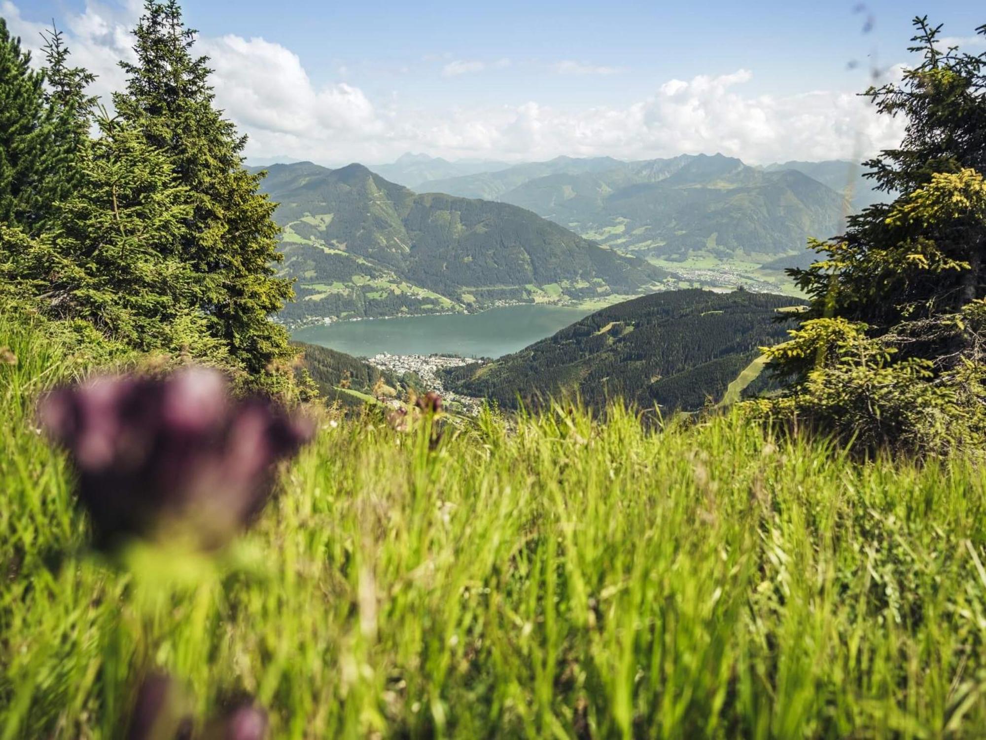 Gaestehaus Bleiweis-Zehentner Zell am See Eksteriør billede
